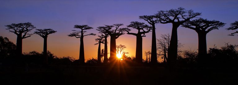 מדגסקר - אי הוניל